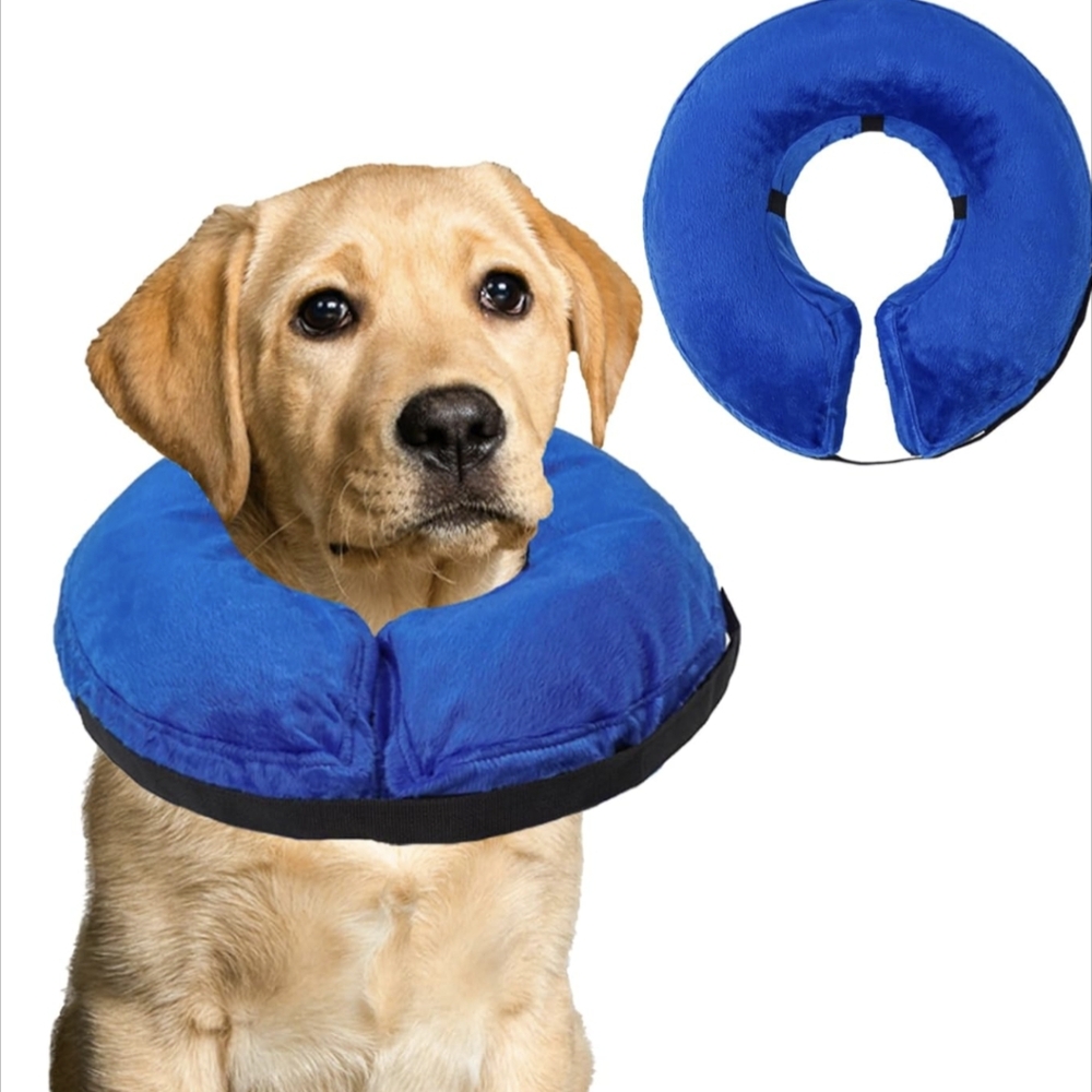 NWT Katoggy Inflatable Recovery Ring